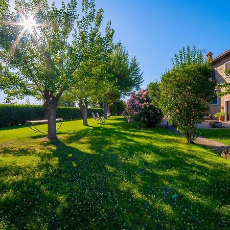 Agriturismo Palazzi Del Papa Pienza Buitenkant foto