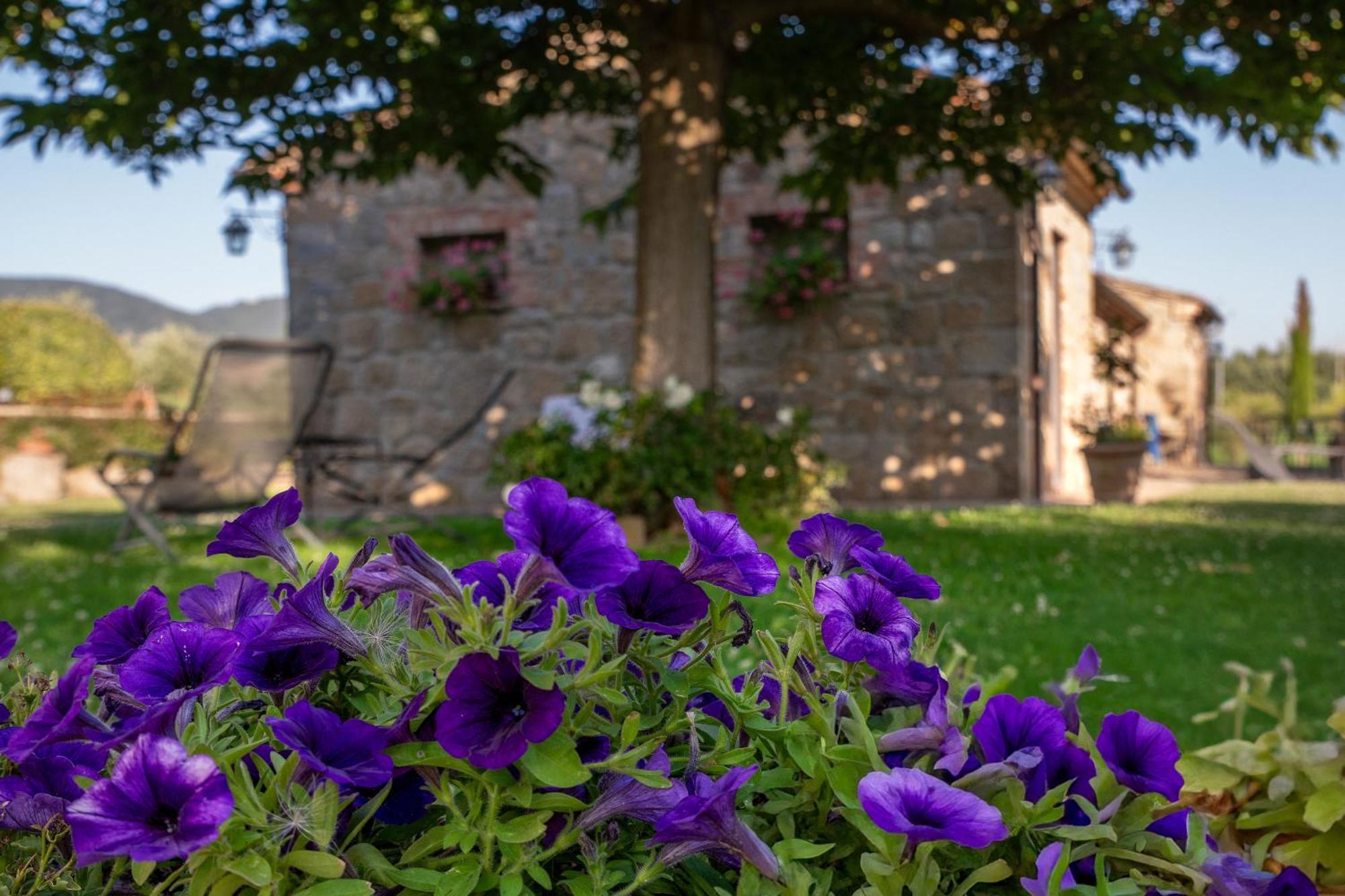 Agriturismo Palazzi Del Papa Pienza Buitenkant foto