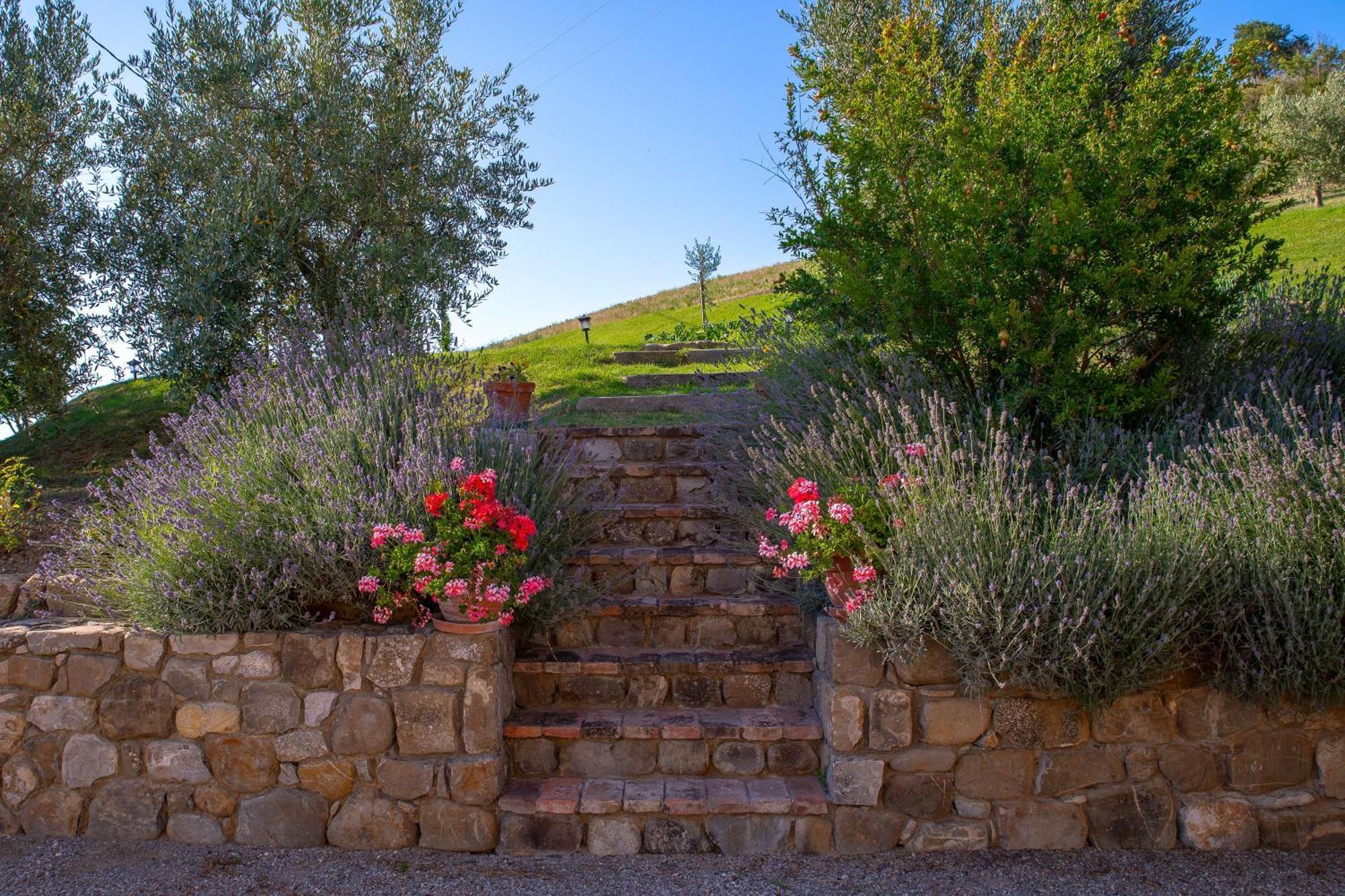 Agriturismo Palazzi Del Papa Pienza Buitenkant foto