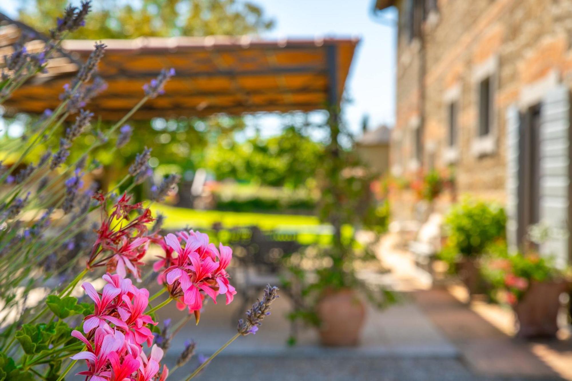 Agriturismo Palazzi Del Papa Pienza Buitenkant foto